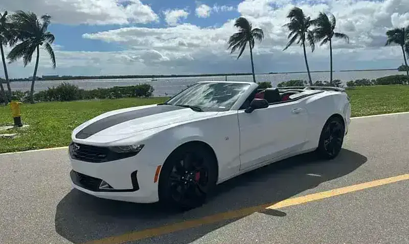 A 2023 Chevrolet Camaro convertible with the top down, parked on a palm-lined coastal road